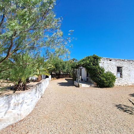 Olive Grove Cottage Koringberg Екстер'єр фото