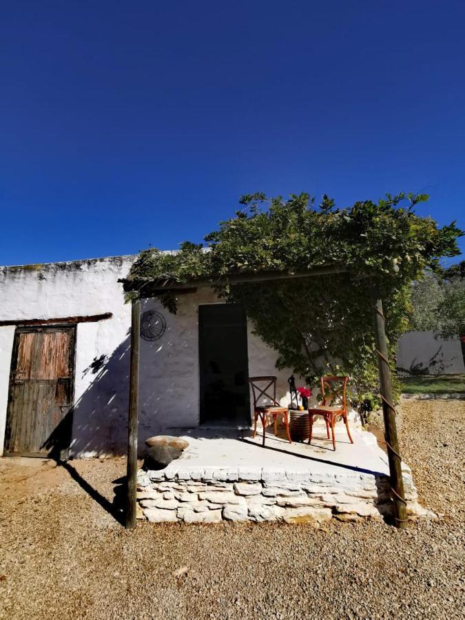 Olive Grove Cottage Koringberg Екстер'єр фото