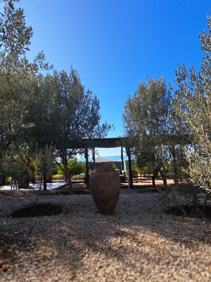 Olive Grove Cottage Koringberg Екстер'єр фото